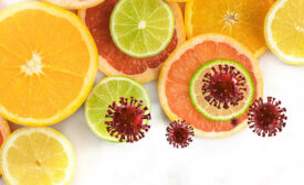 Citrus fruit slices