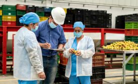 people working together processig plant