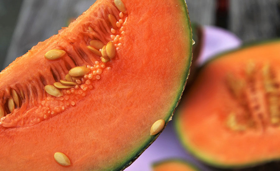 Large Salmonella Outbreak Linked To Honeydew, Cantaloupe, And Galia 