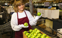 stocking apples