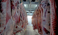 hanging meat