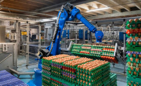 robot picking up eggs