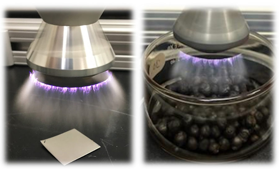 Cold Plasma Treatment of Stainless Steel Conveyor Belt Material and Black Peppercorns (Source: Salvi Lab at North Carolina State University)