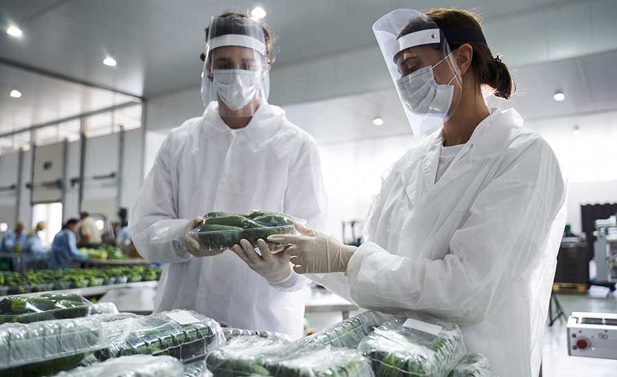 two workers handling packaged vegetables