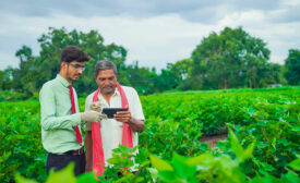 two men working on a field with an ipad