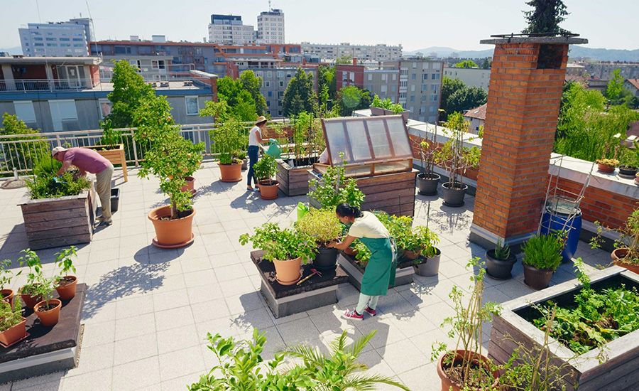 greenhouse terrace