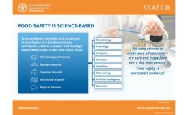 SSAFE and FAO release posters for World Food Safety Day 2021