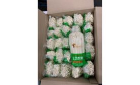 Guans Mushroom Co recalls enoki because of possible health risk