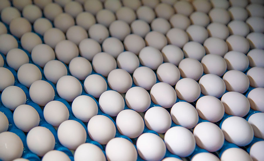 https://www.food-safety.com/ext/resources/Issues/2021/March/Eggs/Eggs.jpg?height=635&t=1614279596&width=1200