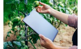 tablet and fruit