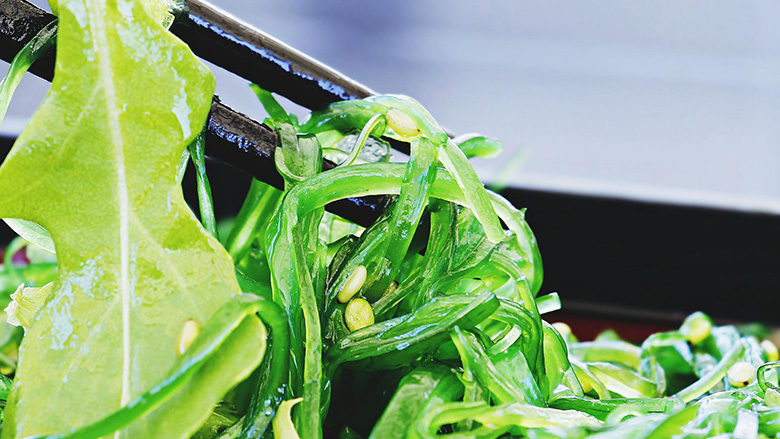 Experts reveal seaweed salad is fake and processed