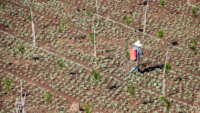 farmer spraying pesticides