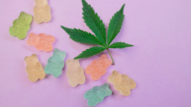 CBD gummies