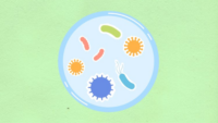 cartoon bacteria petri dish