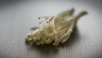 enoki mushrooms