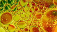 oil bubbles