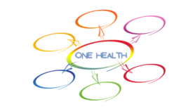 one health graphic