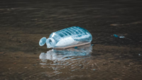 plastc bottle in water