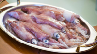 raw squid