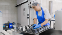 woman working in cheese factory