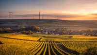 a field of crops with windmills in the horizon