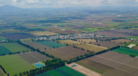 aerial view of farm fields in mexico