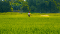 farmer spraying chemicals