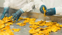 people's hands in blue gloves picking up crisps in a food factory line