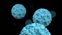 Norovirus particles