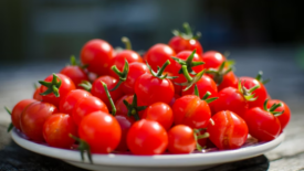 plate of charry tomatoes