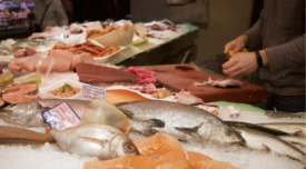 seafood on ice at a market