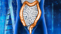 3D rendering of human anatomy highlighting the colon