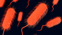 3d rendering of bacteria that looks like salmonella