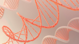 3d rendering of orange dna helixes