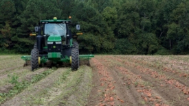 Tractor Working in Potato Field