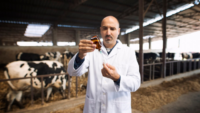 Veterinarian at cattle farm holding syringe and bottle preparing for vaccination