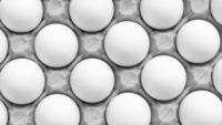 bird's eye view of white eggs in cardboard carton