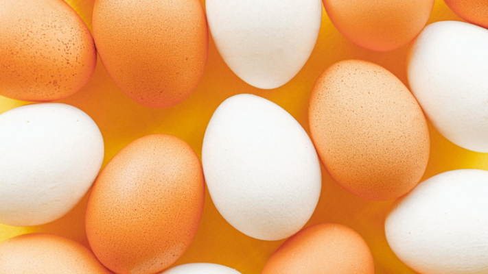 brown and white eggs on yellow surface