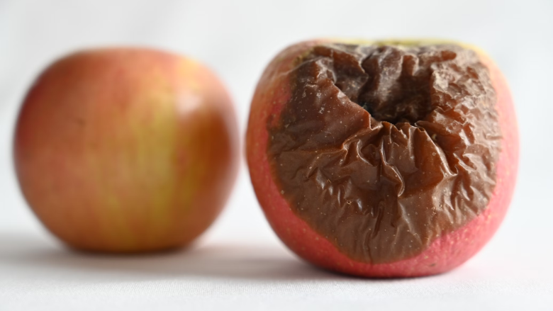 bruised rotten apple next to fresh apple