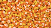 candy corn