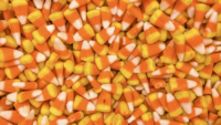 candy corn