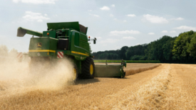 combine harvester on a wheat field