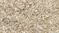 dry rice grains