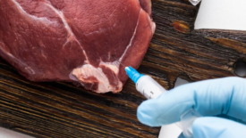 gloved hand injecting needle into meat