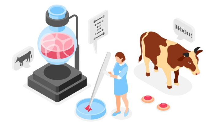 illustration of lab grown beef