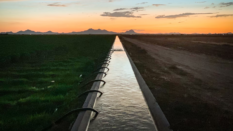 irrigation canal