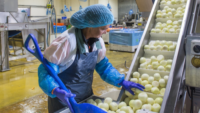 line worker moving food on conveyor