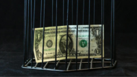 one dollar bill inside a cage