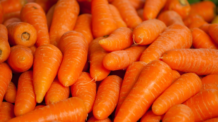 pile of whole raw carrots