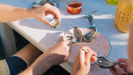 raw oysters being eaten